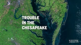 Will the Chesapeake Bay Become a Dead Zone?