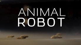These Researchers Used AI to Design a Completely New 'Animal Robot'